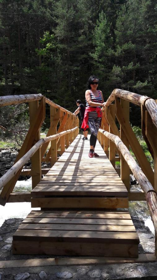 Tes Royal Plaza Apartments Borovets Bagian luar foto